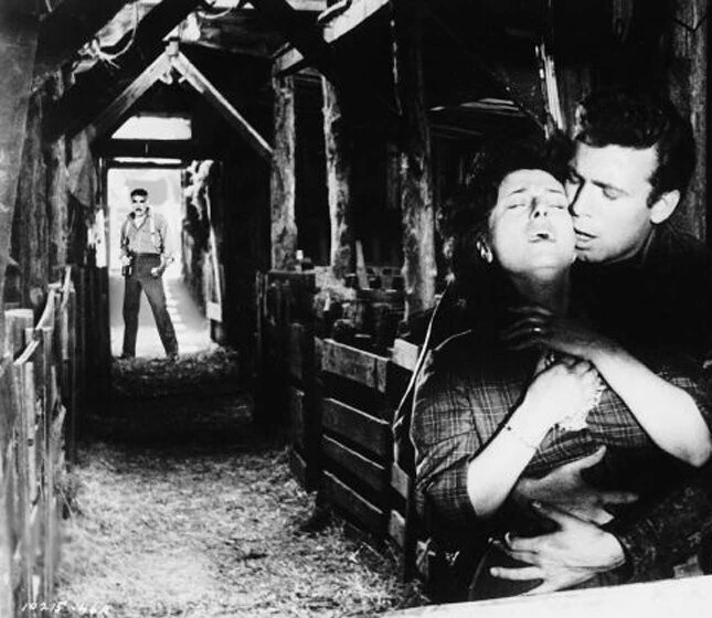 Дикий ветер (1957) скачать торрент бесплатно Дикий ветер (1957) фильм скачать торрент бесплатно