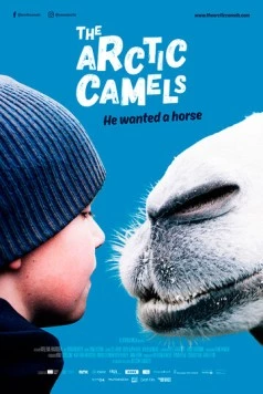 Мой друг северный верблюд / The Arctic Camels (2019) фильм скачать через торрет бесплатно в хорошем качестве
