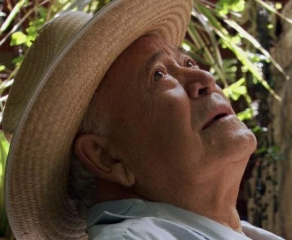 Пятнадцатилетняя (2006) скачать торрент бесплатно Пятнадцатилетняя (2006) фильм скачать торрент бесплатно