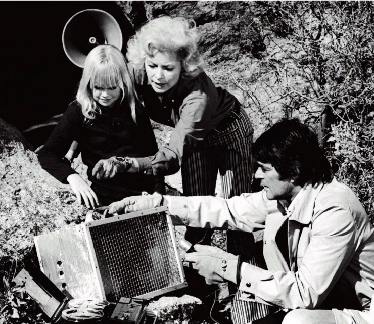 Ночь кролика (1972) скачать торрент бесплатно Ночь кролика (1972) фильм скачать торрент бесплатно