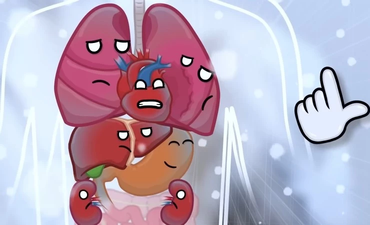 Наше тело (2023) скачать торрент бесплатно Наше тело (2023) мультфильм скачать торрент бесплатно