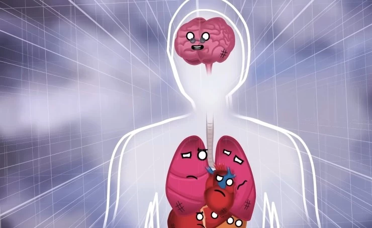 Наше тело (2023) скачать торрент файл Наше тело (2023) мультфильм скачать торрент файл