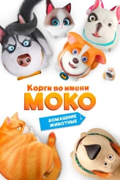 Корги по имени Моко. Домашние животные / Flying MOCO - Pet House (2019) мультфильм скачать через торрет бесплатно в хорошем качестве