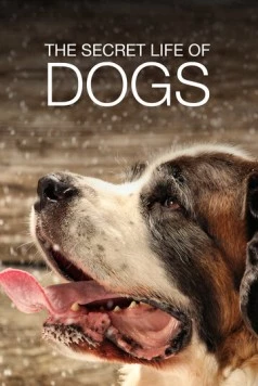 Тайная жизнь собак / Secret Life of Dogs (2017) cериал скачать через торрет бесплатно в хорошем качестве