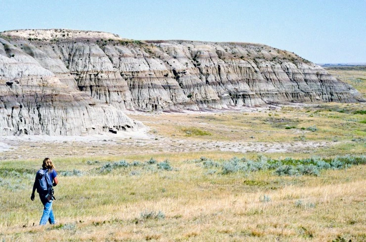 Динозавр 13 (2014) скачать торрент бесплатно Динозавр 13 (2014) фильм скачать торрент бесплатно