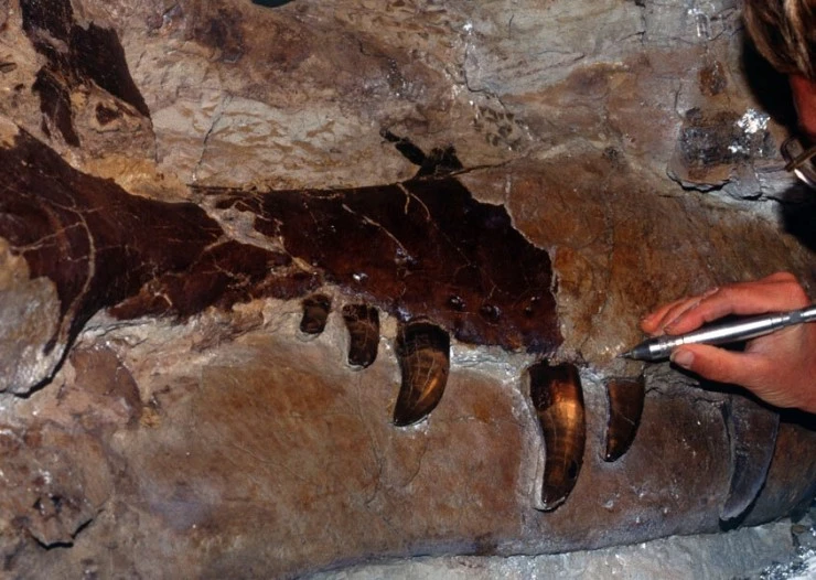 Динозавр 13 (2014) скачать торрент файл Динозавр 13 (2014) фильм скачать торрент файл