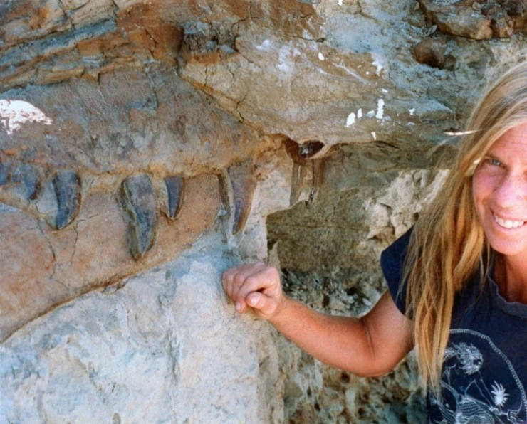 Динозавр 13 (2014) в хорошем качестве скачать торрент файл Динозавр 13 (2014) фильм в хорошем качестве скачать торрент файл