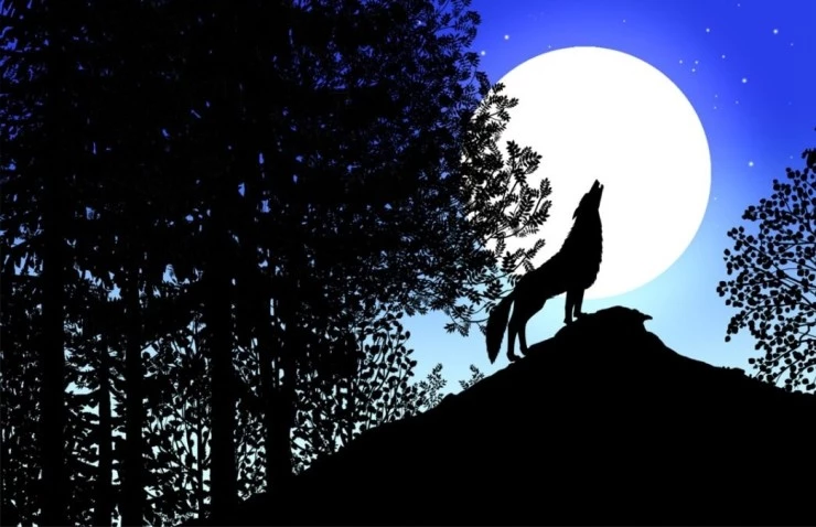 Сказки на ночь (2011) скачать торрент бесплатно Сказки на ночь (2011) мультфильм скачать торрент бесплатно