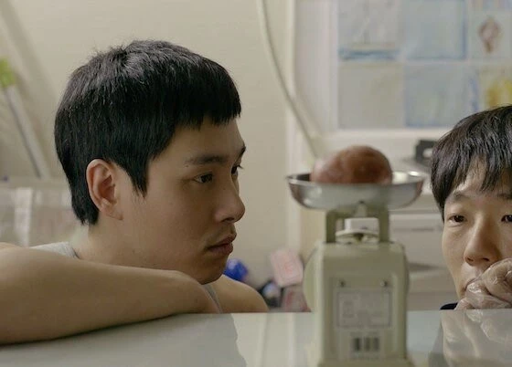 Коала (2013) скачать торрент файл Коала (2013) фильм скачать торрент файл