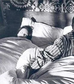 Большое животное (2000) в хорошем качестве скачать торрент файл Большое животное (2000) фильм в хорошем качестве скачать торрент файл