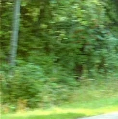 Спасай, кто может (1980) скачать торрент бесплатно Спасай, кто может (1980) фильм скачать торрент бесплатно