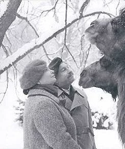 Большое животное (2000) скачать торрент бесплатно Большое животное (2000) фильм скачать торрент бесплатно