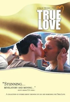 Истинная любовь / True Love (2004) фильм скачать через торрет бесплатно в хорошем качестве