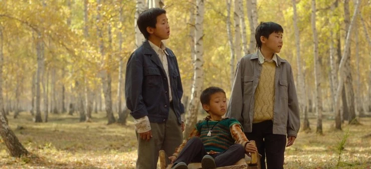 Там, где танцуют стерхи (2024) скачать торрент файл Там, где танцуют стерхи (2024) фильм скачать торрент файл