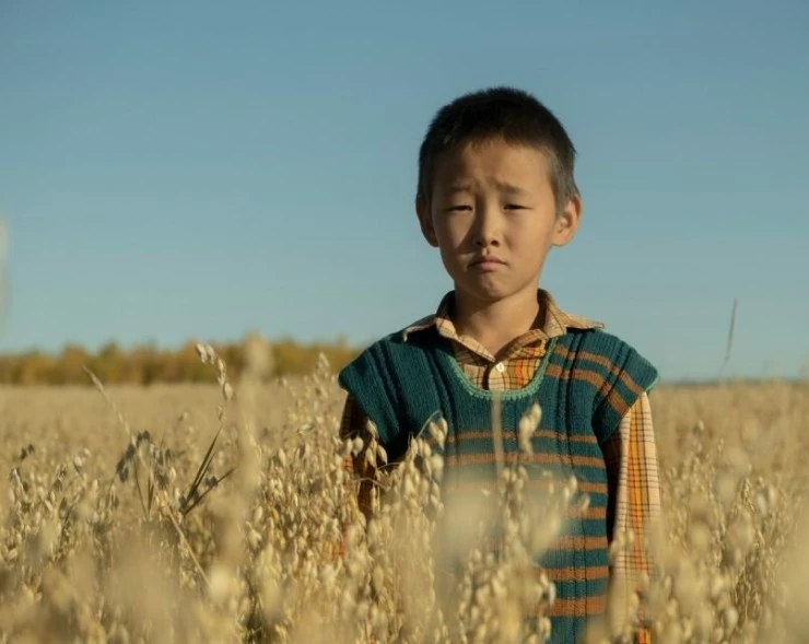 Там, где танцуют стерхи (2024) скачать торрент бесплатно Там, где танцуют стерхи (2024) фильм скачать торрент бесплатно