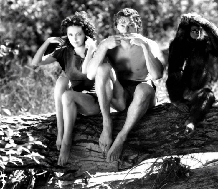 Спасение Тарзана (1936) в хорошем качестве скачать торрент файл Спасение Тарзана (1936) фильм в хорошем качестве скачать торрент файл