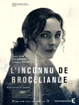 Незнакомец из Броселианда / L'Inconnu de Brocéliande (2016) фильм скачать через торрет бесплатно в хорошем качестве