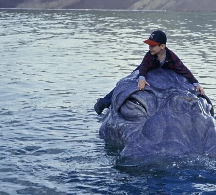 Динозавр Ми-ши: Хозяин озера (2005) в хорошем качестве скачать торрент файл Динозавр Ми-ши: Хозяин озера (2005) фильм в хорошем качестве скачать торрент файл