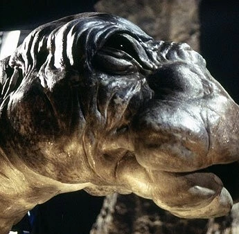 Динозавр Ми-ши: Хозяин озера (2005) скачать торрент файл Динозавр Ми-ши: Хозяин озера (2005) фильм скачать торрент файл