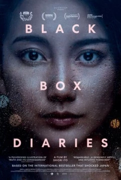 Дневники чёрного ящика / Black Box Diaries (2024) фильм скачать через торрет бесплатно в хорошем качестве