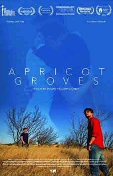 Абрикосовые рощи / Apricot Groves (2016) фильм скачать через торрет бесплатно в хорошем качестве