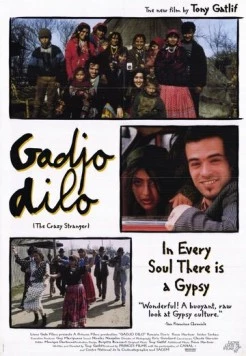 Странный чужак / Gadjo dilo (1997) фильм скачать через торрет бесплатно в хорошем качестве