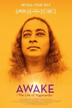 Осознание: Жизнь Йогананды / Awake: The Life of Yogananda (2014) фильм скачать через торрет бесплатно в хорошем качестве