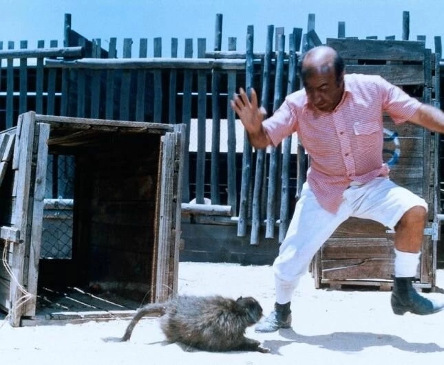 Громила в Африке (1978) скачать торрент файл Громила в Африке (1978) фильм скачать торрент файл