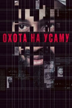 Охота на Усаму / Manhunt: The Inside Story of the Hunt for Bin Laden (2013) фильм скачать через торрет бесплатно в хорошем качестве