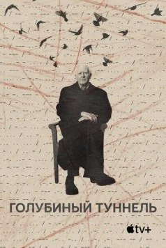 Голубиный туннель / The Pigeon Tunnel (2023) фильм скачать через торрет бесплатно в хорошем качестве