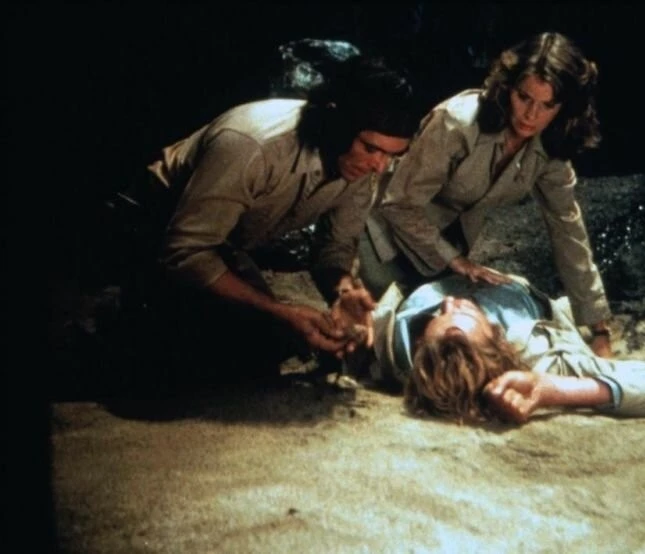 Ночное крыло (1979) скачать торрент бесплатно Ночное крыло (1979) фильм скачать торрент бесплатно