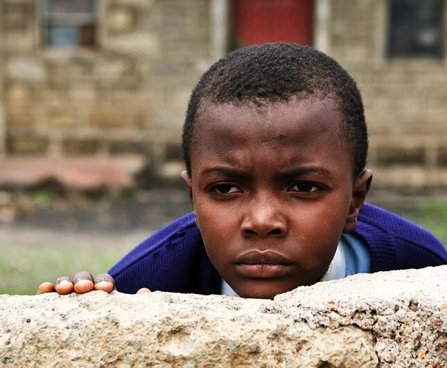 Первопроходец (2010) скачать торрент бесплатно Первопроходец (2010) фильм скачать торрент бесплатно