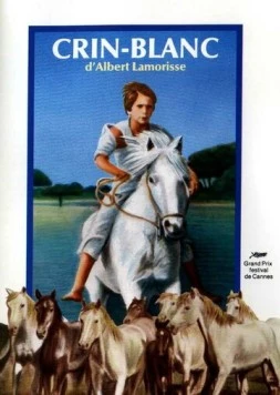 Белая грива: Дикая лошадь / Crin blanc: Le cheval sauvage (1953) фильм скачать через торрет бесплатно в хорошем качестве