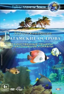 Багамские острова 3D: Таинственные пещеры и затонувшие корабли / Adventure Bahamas 3D: Mysterious Caves And Wrecks (2012) фильм скачать через торрет бесплатно в хорошем качестве