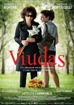 Вдовы / Viudas (2011) фильм скачать через торрет бесплатно в хорошем качестве