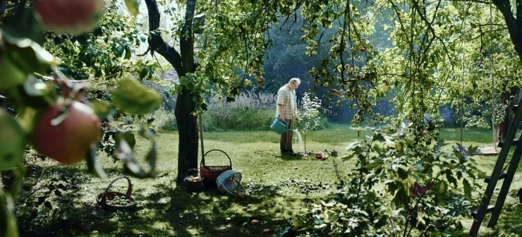 Яблоня (2021) скачать торрент файл Яблоня (2021) фильм скачать торрент файл