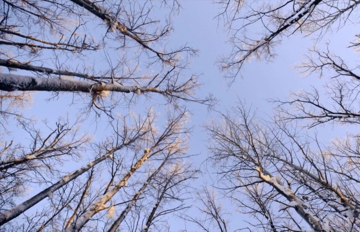 Флип (2020) скачать торрент бесплатно Флип (2020) фильм скачать торрент бесплатно