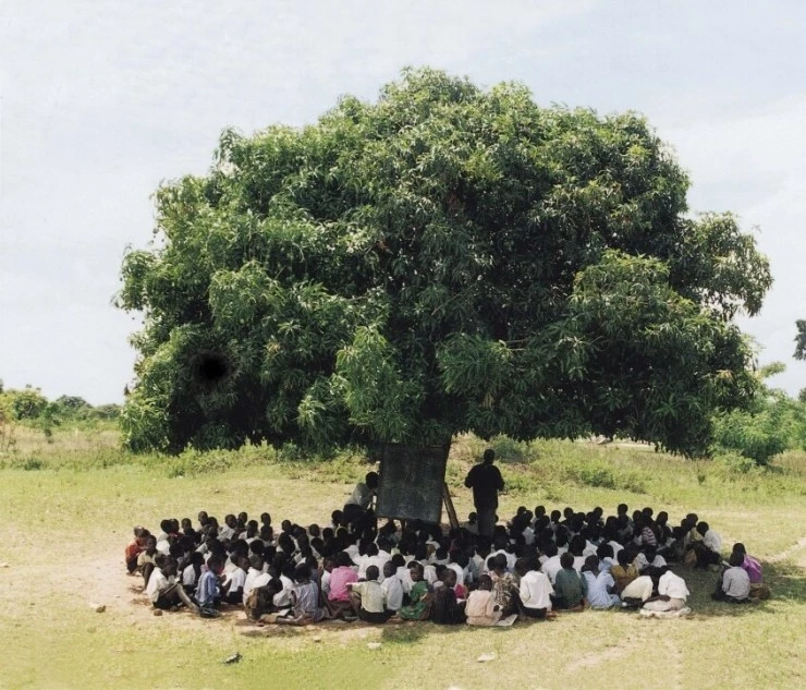 Африка в алфавитном порядке (2001) скачать торрент бесплатно Африка в алфавитном порядке (2001) фильм скачать торрент бесплатно