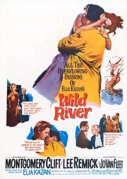 Дикая река / Wild River (1960) фильм скачать через торрет бесплатно в хорошем качестве