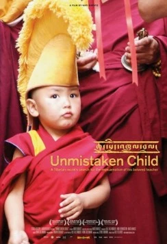 Избранный / Unmistaken Child (2008) фильм скачать через торрет бесплатно в хорошем качестве