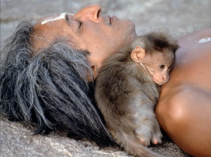 Страна обезьян (1998) скачать торрент бесплатно Страна обезьян (1998) фильм скачать торрент бесплатно