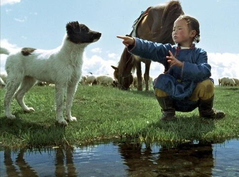 Пещера желтого пса (2005) скачать торрент бесплатно Пещера желтого пса (2005) фильм скачать торрент бесплатно