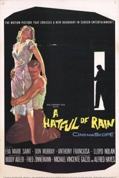 Шляпа, полная дождя / A Hatful of Rain (1957) фильм скачать через торрет бесплатно в хорошем качестве