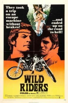 Дикие мятежники / Wild Riders (1971) фильм скачать через торрет бесплатно в хорошем качестве