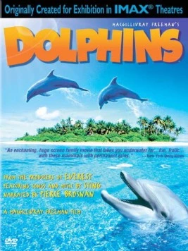 Дельфины / Dolphins (2000) фильм скачать через торрет бесплатно в хорошем качестве
