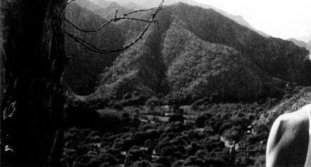 Япония (2001) скачать торрент бесплатно Япония (2001) фильм скачать торрент бесплатно