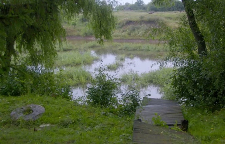 Бунинъ (2024) скачать торрент файл Бунинъ (2024) фильм скачать торрент файл