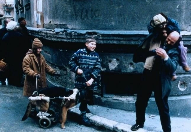 Идеальный круг (1997) скачать торрент бесплатно Идеальный круг (1997) фильм скачать торрент бесплатно