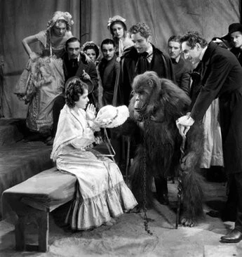 Убийства на улице Морг (1932) скачать торрент файл Убийства на улице Морг (1932) фильм скачать торрент файл