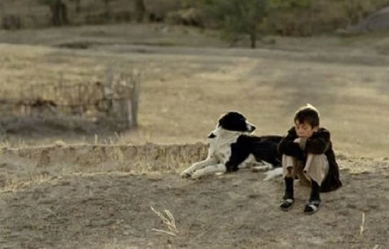 Младший брат (2013) в хорошем качестве скачать торрент файл Младший брат (2013) фильм в хорошем качестве скачать торрент файл